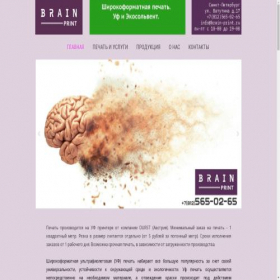Скриншот главной страницы сайта brain-print.ru