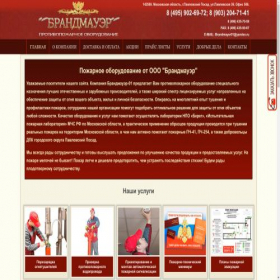 Скриншот главной страницы сайта brandmauer-01.ru