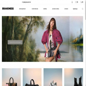 Скриншот главной страницы сайта brandness.ru