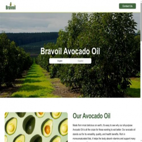 Скриншот главной страницы сайта bravoil.com