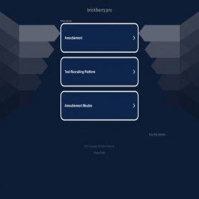Скриншот главной страницы сайта bricklberry.pro