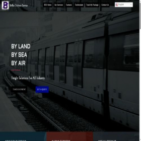Скриншот главной страницы сайта briflexdsonline.com