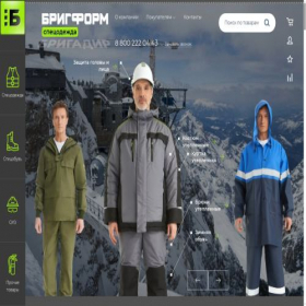 Скриншот главной страницы сайта brigform.ru