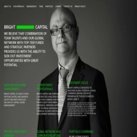 Скриншот главной страницы сайта bright-capital.com