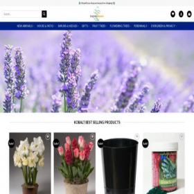 Скриншот главной страницы сайта brighterbloomss.com