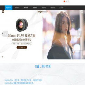 Скриншот главной страницы сайта brightin.com.cn