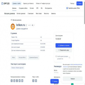 Скриншот главной страницы сайта brikon.ru