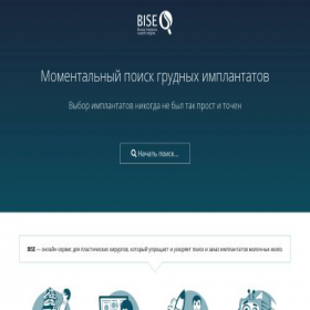 Скриншот главной страницы сайта brims.ru