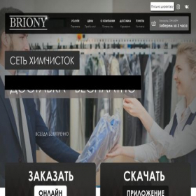Скриншот главной страницы сайта briony.ru