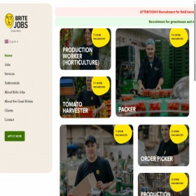 Скриншот главной страницы сайта brite-jobs.com