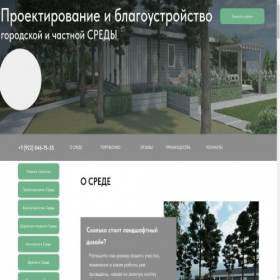 Скриншот главной страницы сайта briz-dushi.ru