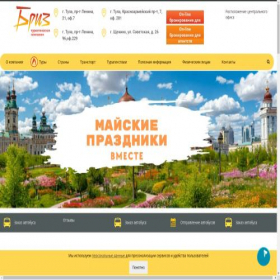 Скриншот главной страницы сайта briz-tula.ru