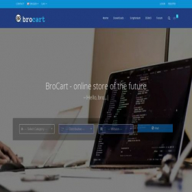 Скриншот главной страницы сайта brocart.net