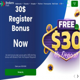 Скриншот главной страницы сайта brokerspark.com
