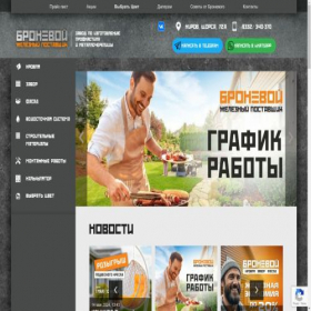 Скриншот главной страницы сайта bronevoy43.ru