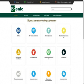 Скриншот главной страницы сайта bronic.ru