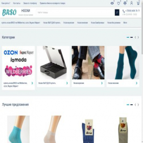 Скриншот главной страницы сайта brso.ru