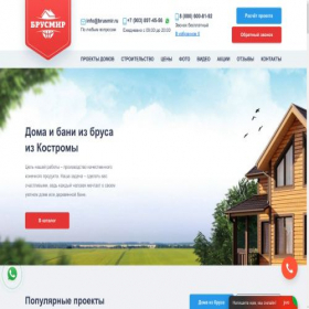 Скриншот главной страницы сайта brusmir.ru