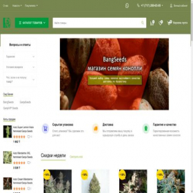 Скриншот главной страницы сайта bseeds.tk