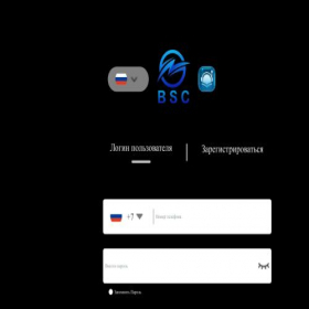 Скриншот главной страницы сайта bsscl-app.com