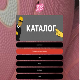 Скриншот главной страницы сайта bsshop24.ru