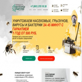 Скриншот главной страницы сайта bsvspb.ru