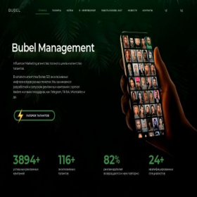 Скриншот главной страницы сайта bubelmgt.ru