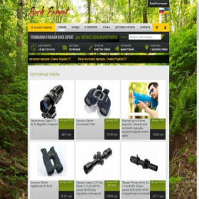 Скриншот главной страницы сайта buckexpert.com.ua