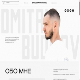 Скриншот главной страницы сайта budilovich.pro