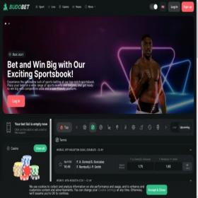 Скриншот главной страницы сайта budobet.com