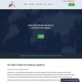 Скриншот главной страницы сайта budrigantrade.com