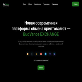 Скриншот главной страницы сайта budvance.com