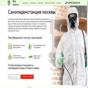 Скриншот главной страницы сайта bug-destroy.ru
