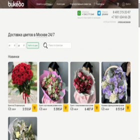 Скриншот главной страницы сайта bukedo.ru