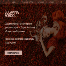 Скриншот главной страницы сайта bulavina.pro