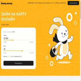 Скриншот главной страницы сайта bunnymoney.ru