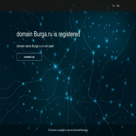 Скриншот главной страницы сайта burga.ru