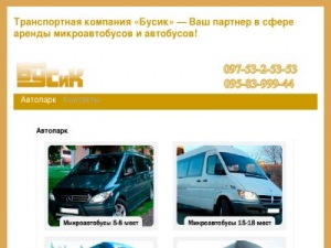 Скриншот главной страницы сайта busik.com.ua