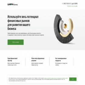 Скриншот главной страницы сайта business.ffin.ru