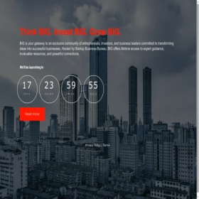 Скриншот главной страницы сайта businessinvestorgroup.com