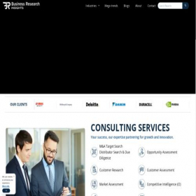Скриншот главной страницы сайта businessresearchinsights.com
