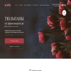 Скриншот главной страницы сайта buton.store