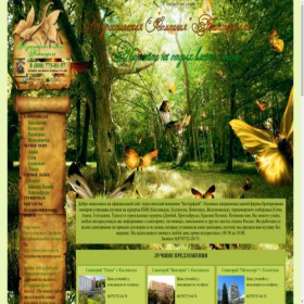 Скриншот главной страницы сайта butterfly-tour.ru