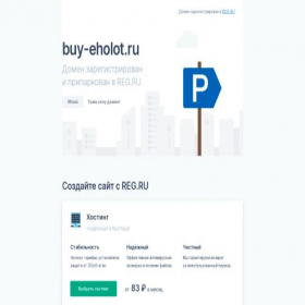 Скриншот главной страницы сайта buy-eholot.ru
