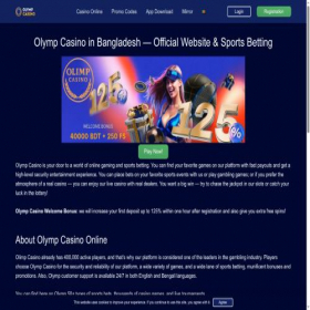 Скриншот главной страницы сайта bwt-india.com