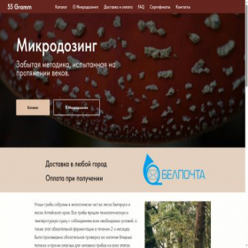 Скриншот главной страницы сайта by.55gramm.shop