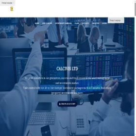 Скриншот главной страницы сайта calcivisltd.org