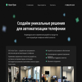 Скриншот главной страницы сайта call-tools.ru