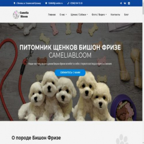 Скриншот главной страницы сайта cameliabloom.ru