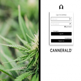 Скриншот главной страницы сайта cannergrow.com